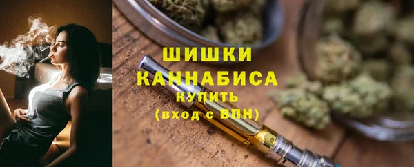 ECSTASY Бородино