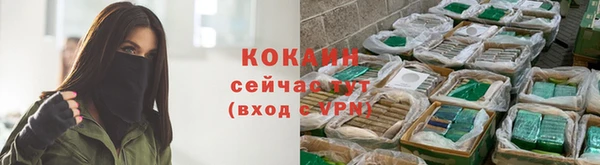 PSILOCYBIN Верхний Тагил