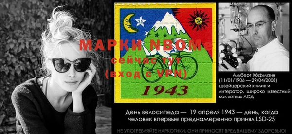 ECSTASY Бородино
