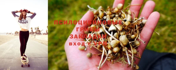 стафф Яранск